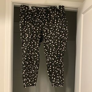 Lane Bryant floral print pants